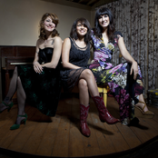 Puss N Boots - List pictures