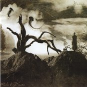 Kwoon - List pictures