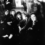 The Divinyls - List pictures