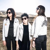 The Coathangers - List pictures