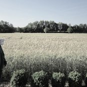 Comadre - List pictures