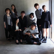 Goose House - List pictures