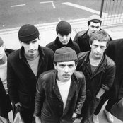 Dexys Midnight Runners - List pictures