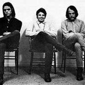 The Red Krayola - List pictures