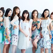 Flower - List pictures