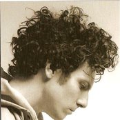 Jeremy Fisher - List pictures