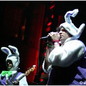 Reggie And The Full Effect - List pictures