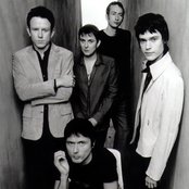 The London Suede - List pictures