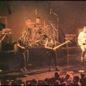 Live Skull - List pictures