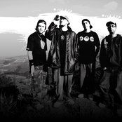 Charlie Brown Jr - List pictures