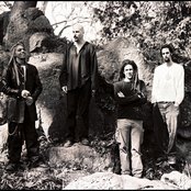 Dead Soul Tribe - List pictures