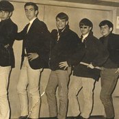 Bachs - List pictures