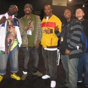 San Quinn - List pictures