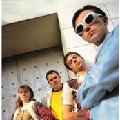 Pulp - List pictures