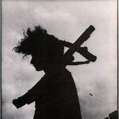 Foetus - List pictures