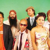 Dengue Fever - List pictures