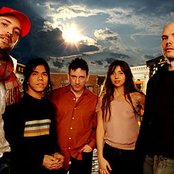 Zwan - List pictures