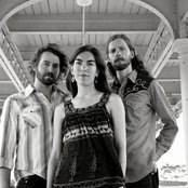 Stray Birds - List pictures