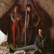 Xtc - List pictures