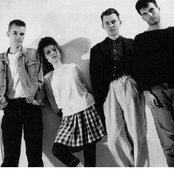 The Sundays - List pictures