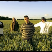 It Bites - List pictures