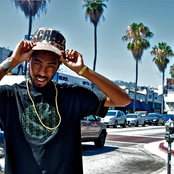 Polyester The Saint - List pictures