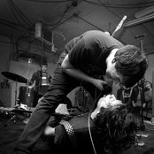 Night Birds - List pictures