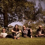 Blof - List pictures