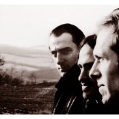 Disillusion - List pictures