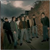 The Coral - List pictures