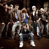 Down With Webster - List pictures