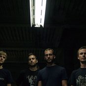 Pelican - List pictures