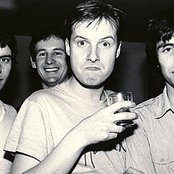 Xtc - List pictures