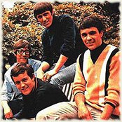 The Shadows - List pictures