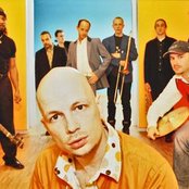 Zebra - List pictures