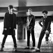 Lillies And Remains - List pictures