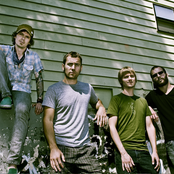 Pelican - List pictures