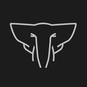 Elekfantz - List pictures