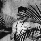 Quintron - List pictures