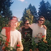 Walter Tv - List pictures