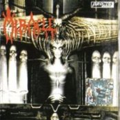 Miracle - List pictures