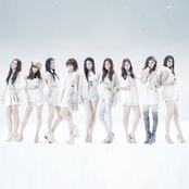 Flower - List pictures