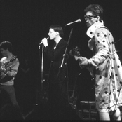 Dickies - List pictures