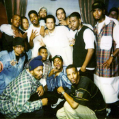 The Dove Shack - List pictures