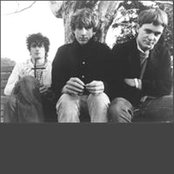 The Clean - List pictures