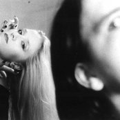 Artrosis - List pictures