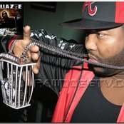 Gorilla Zoe - List pictures