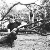 Go-betweens - List pictures