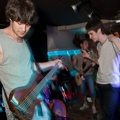 Blooms - List pictures