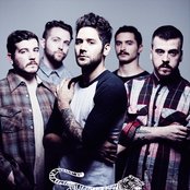 Good Tiger - List pictures